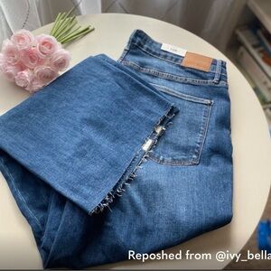 JUDY BLUE (NWT) The Groovy Flare Hight Waisted Jean size 24w PLUS SIZE